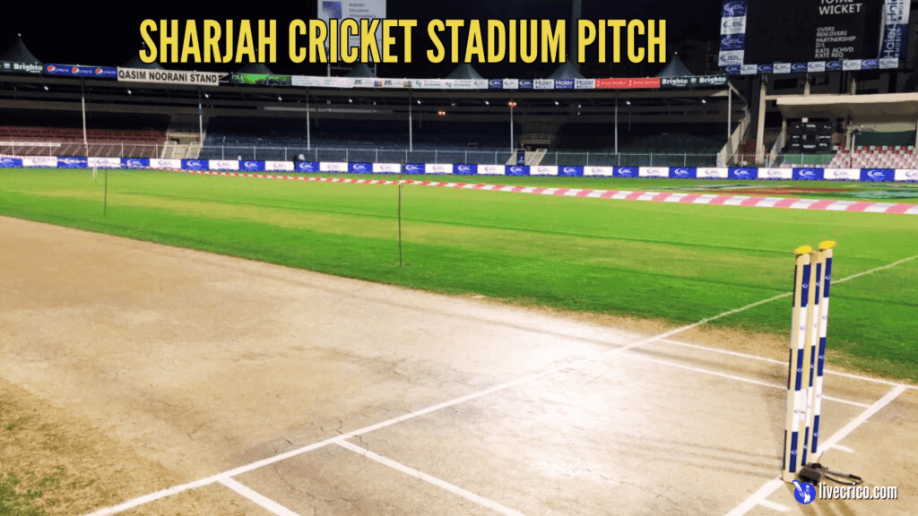 Sharjah Cricket Stadium Pitch Report: Batting or Bowling Friendly?